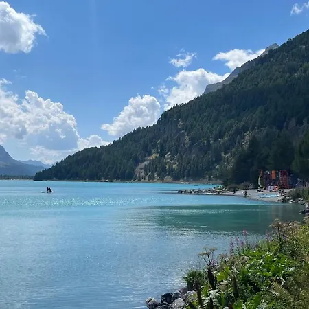 Apartment Chesa Munteratsch 1-zimmerwohnung 203 Typ B Silvaplana