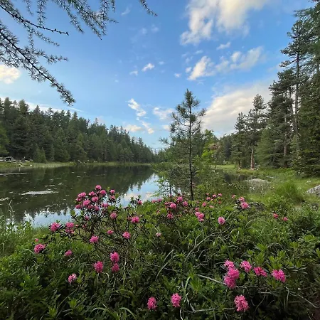Chesa Munteratsch 1-zimmerwohnung 203 Typ B Silvaplana