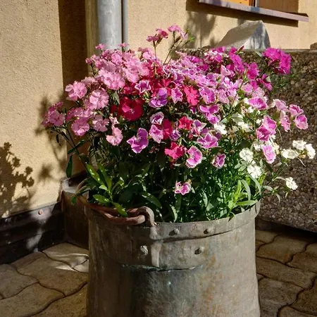 Apartment Chesa Munteratsch 1-zimmerwohnung 203 Typ B