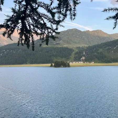 Chesa Munteratsch 1-zimmerwohnung 203 Typ B *