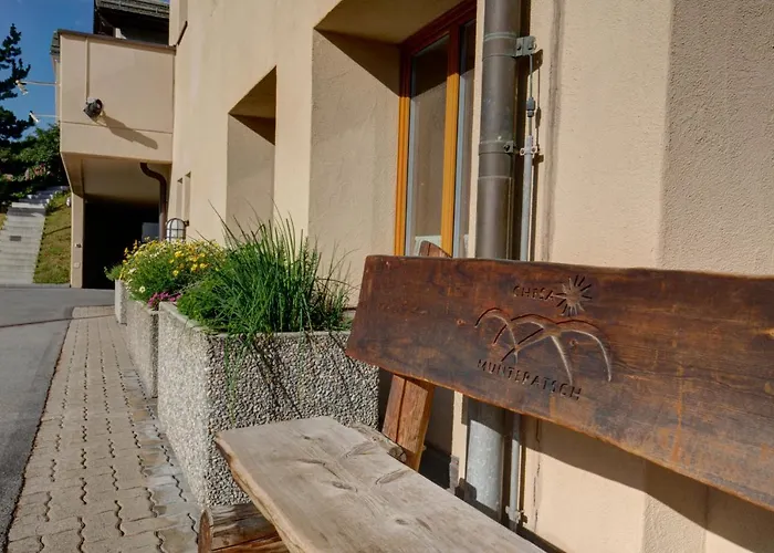 Appartamento Chesa Munteratsch 1-zimmerwohnung 203 Typ B Silvaplana