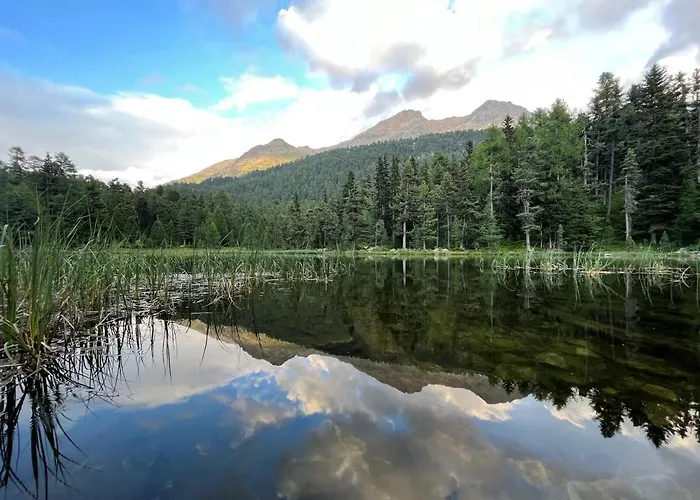 Apartmán Chesa Munteratsch 1-zimmerwohnung 203 Typ B Silvaplana