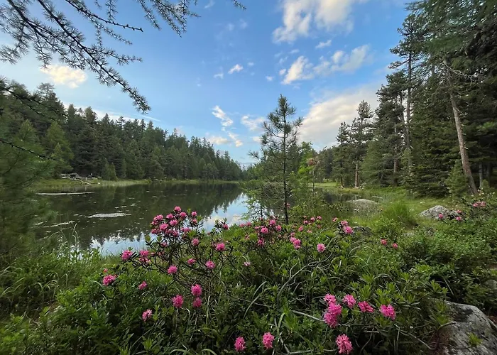 Chesa Munteratsch 1-zimmerwohnung 203 Typ B Silvaplana