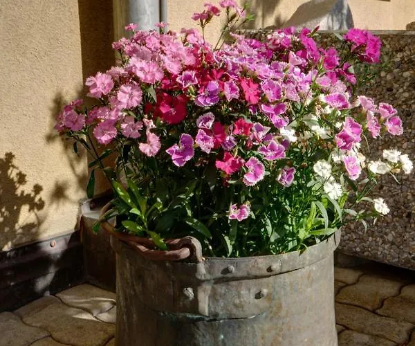 Apartmán Chesa Munteratsch 1-zimmerwohnung 203 Typ B