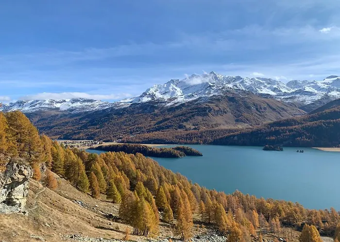 Apartmán Chesa Munteratsch 1-zimmerwohnung 203 Typ B Silvaplana