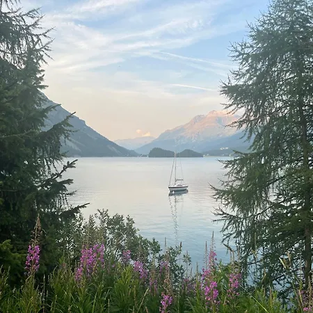 Appartement Chesa Munteratsch 1-zimmerwohnung 203 Typ B Silvaplana