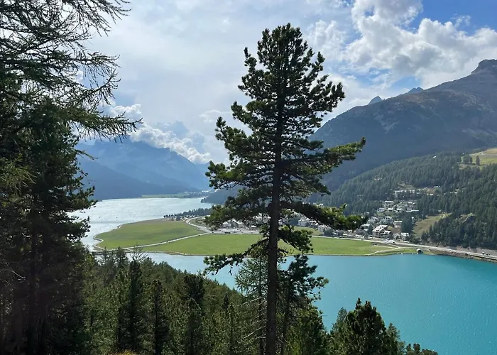 Chesa Munteratsch 1-zimmerwohnung 203 Typ B Silvaplana